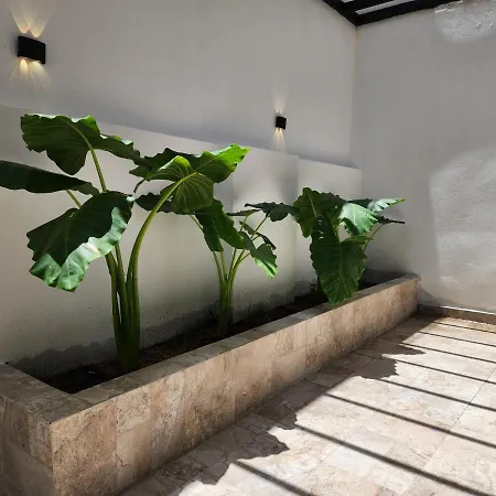 Apartamento In Castillogrande Cartagena