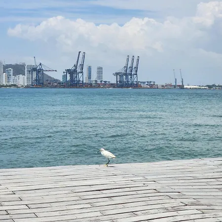 Apartamento In Castillogrande Cartagena